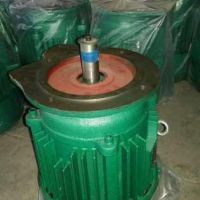 起重機電機優(yōu)質(zhì)生產(chǎn)廠家減速機電機