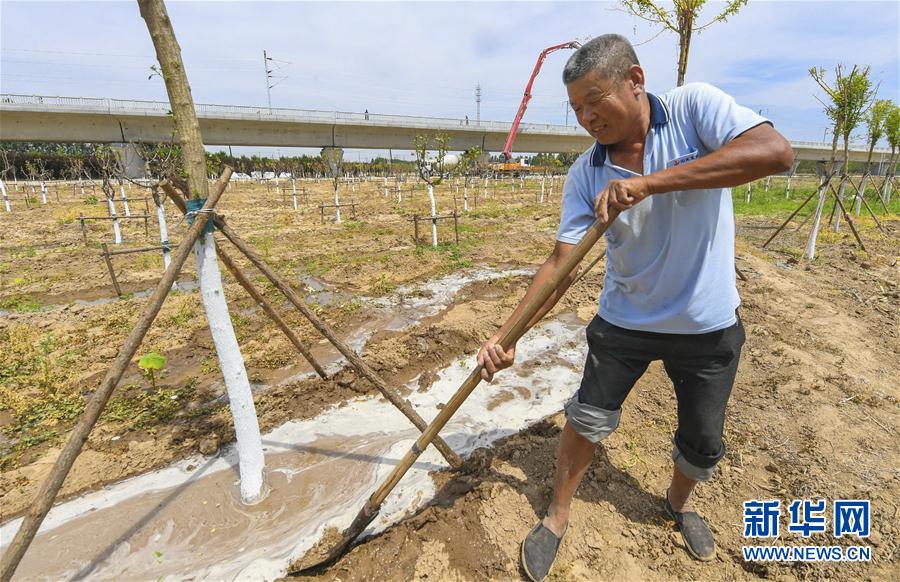 (環(huán)境)(1)河北霸州:打造特色景觀廊道
