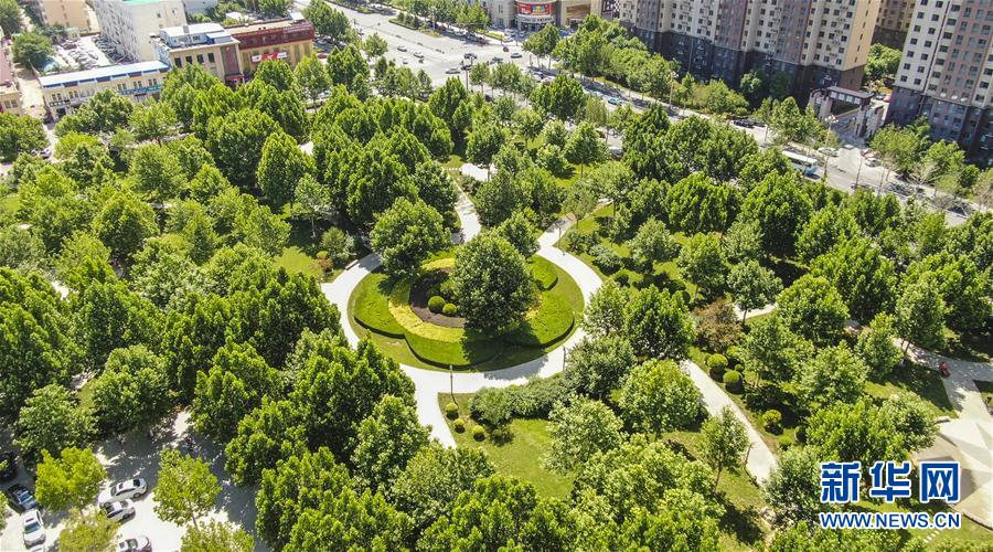(社會(huì))(1)河北霸州大力建設(shè)城市公園