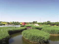 臨港濕地公園：“環(huán)?！薄邦佒怠奔嫒莶⑿?/></a>　　臨港生態(tài)濕地公園　　由天津港保稅區(qū)管委會(huì)作為執(zhí)行機(jī)構(gòu)的亞洲開(kāi)發(fā)銀行貸款項(xiàng)目天津海河河口地區(qū)污染控制與生態(tài)恢復(fù)項(xiàng)目近期完成貸款賬戶清戶，其中，濕地生態(tài)恢復(fù)子項(xiàng)目建設(shè)了63公頃臨港生態(tài)濕地公園(一期)，具備污水處理、生態(tài)恢復(fù)和景觀...<a href=