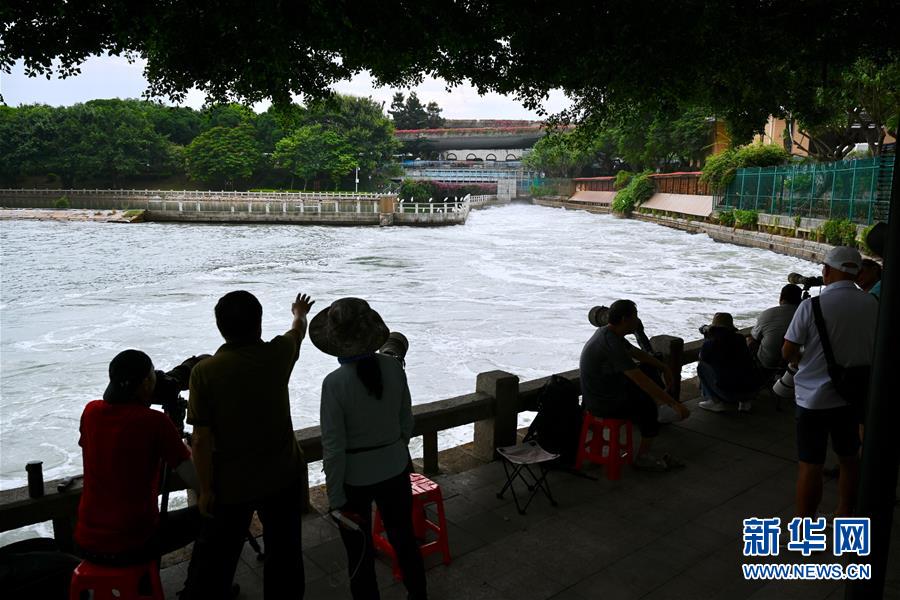 (特區(qū)40年·圖文互動(dòng))(2)高顏值的生態(tài)花園之城——廈門生態(tài)建設(shè)觀察