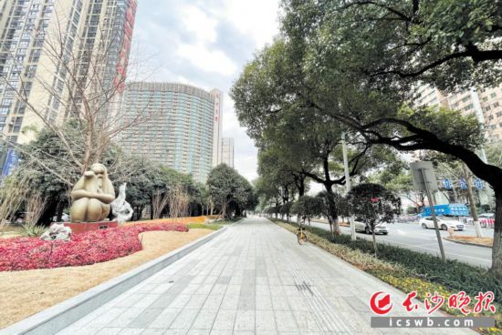 　　開(kāi)福區(qū)芙蓉路綠葉女廣場(chǎng)周邊實(shí)施提質(zhì)后的景象。長(zhǎng)沙晚報(bào)通訊員 陳偉 攝