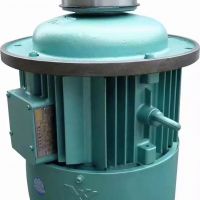 上海起重機(jī)電機(jī)銷售