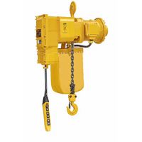 天津起重機(jī)-各種電動(dòng)葫蘆